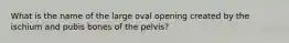 What is the name of the large oval opening created by the ischium and pubis bones of the pelvis?