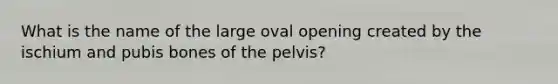 What is the name of the large oval opening created by the ischium and pubis bones of the pelvis?