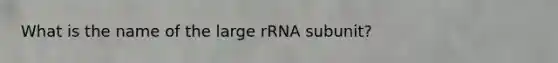 What is the name of the large rRNA subunit?