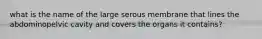 what is the name of the large serous membrane that lines the abdominopelvic cavity and covers the organs it contains?