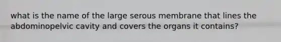 what is the name of the large serous membrane that lines the abdominopelvic cavity and covers the organs it contains?