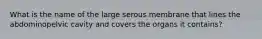 What is the name of the large serous membrane that lines the abdominopelvic cavity and covers the organs it contains?