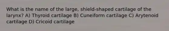 What is the name of the large, shield-shaped cartilage of the larynx? A) Thyroid cartilage B) Cuneiform cartilage C) Arytenoid cartilage D) Cricoid cartilage