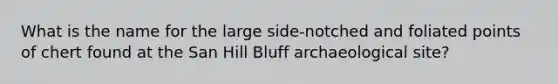 What is the name for the large side-notched and foliated points of chert found at the San Hill Bluff archaeological site?