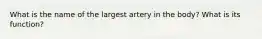 What is the name of the largest artery in the body? What is its function?