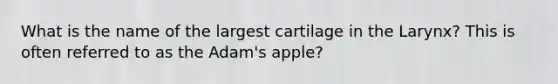 What is the name of the largest cartilage in the Larynx? This is often referred to as the Adam's apple?