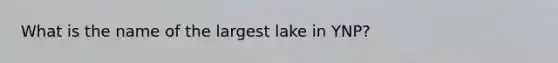 What is the name of the largest lake in YNP?