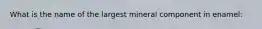 What is the name of the largest mineral component in enamel: