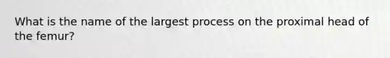 What is the name of the largest process on the proximal head of the femur?