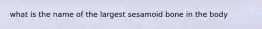 what is the name of the largest sesamoid bone in the body