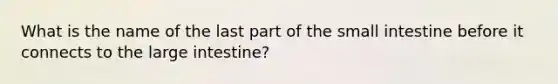 What is the name of the last part of the small intestine before it connects to the large intestine?