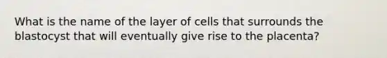 What is the name of the layer of cells that surrounds the blastocyst that will eventually give rise to the placenta?