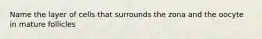Name the layer of cells that surrounds the zona and the oocyte in mature follicles