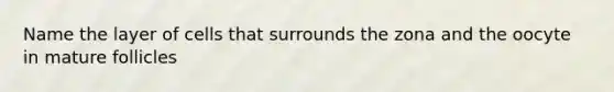 Name the layer of cells that surrounds the zona and the oocyte in mature follicles
