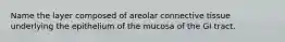 Name the layer composed of areolar connective tissue underlying the epithelium of the mucosa of the GI tract.