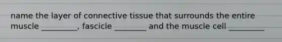 name the layer of connective tissue that surrounds the entire muscle _________, fascicle ________ and the muscle cell _________