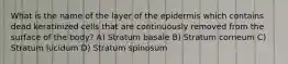 What is the name of the layer of the epidermis which contains dead keratinized cells that are continuously removed from the surface of the body? A) Stratum basale B) Stratum corneum C) Stratum lucidum D) Stratum spinosum