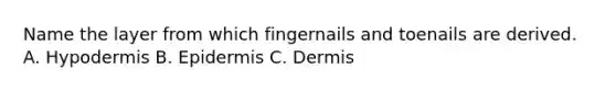 Name the layer from which fingernails and toenails are derived. A. Hypodermis B. Epidermis C. Dermis