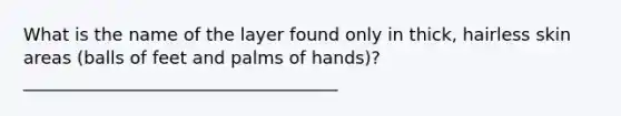 What is the name of the layer found only in thick, hairless skin areas (balls of feet and palms of hands)? ____________________________________