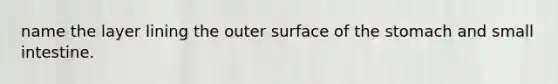 name the layer lining the outer surface of <a href='https://www.questionai.com/knowledge/kLccSGjkt8-the-stomach' class='anchor-knowledge'>the stomach</a> and small intestine.