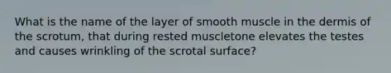 What is the name of the layer of smooth muscle in the dermis of the scrotum, that during rested muscletone elevates the testes and causes wrinkling of the scrotal surface?