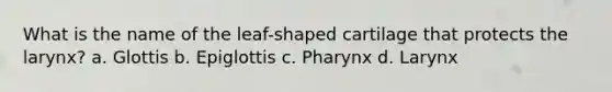 What is the name of the leaf-shaped cartilage that protects the larynx? a. Glottis b. Epiglottis c. Pharynx d. Larynx