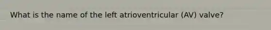 What is the name of the left atrioventricular (AV) valve?