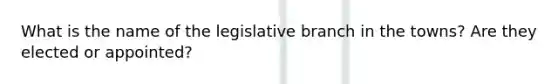 What is the name of the legislative branch in the towns? Are they elected or appointed?