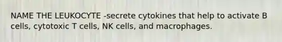 NAME THE LEUKOCYTE -secrete cytokines that help to activate B cells, cytotoxic T cells, NK cells, and macrophages.