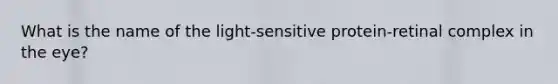 What is the name of the light-sensitive protein-retinal complex in the eye?