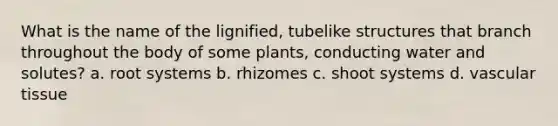 What is the name of the lignified, tubelike structures that branch throughout the body of some plants, conducting water and solutes? a. root systems b. rhizomes c. shoot systems d. vascular tissue