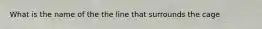 What is the name of the the line that surrounds the cage