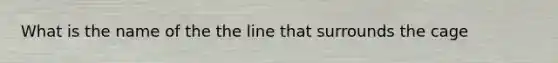 What is the name of the the line that surrounds the cage