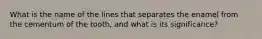 What is the name of the lines that separates the enamel from the cementum of the tooth, and what is its significance?