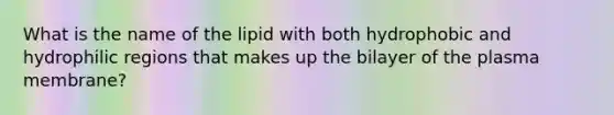 What is the name of the lipid with both hydrophobic and hydrophilic regions that makes up the bilayer of the plasma membrane?