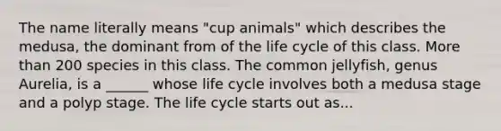 The name literally means "cup animals" which describes the medusa, the dominant from of the life cycle of this class. More than 200 species in this class. The common jellyfish, genus Aurelia, is a ______ whose life cycle involves both a medusa stage and a polyp stage. The life cycle starts out as...