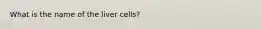 What is the name of the liver cells?