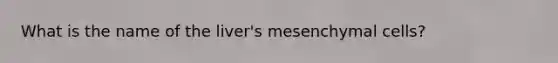 What is the name of the liver's mesenchymal cells?