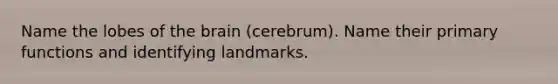 Name the lobes of the brain (cerebrum). Name their primary functions and identifying landmarks.