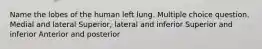 Name the lobes of the human left lung. Multiple choice question. Medial and lateral Superior, lateral and inferior Superior and inferior Anterior and posterior