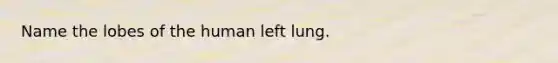 Name the lobes of the human left lung.