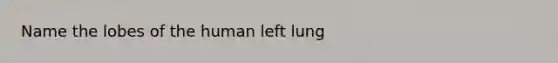 Name the lobes of the human left lung