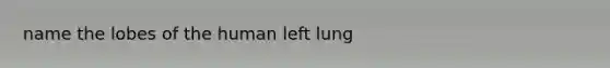 name the lobes of the human left lung