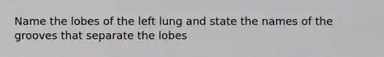 Name the lobes of the left lung and state the names of the grooves that separate the lobes