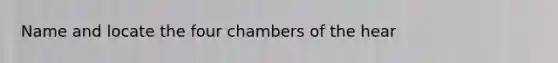 Name and locate the four chambers of the hear