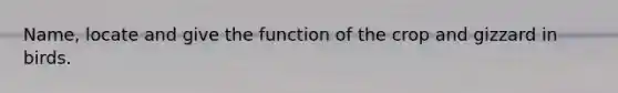 Name, locate and give the function of the crop and gizzard in birds.