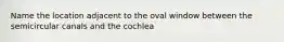 Name the location adjacent to the oval window between the semicircular canals and the cochlea