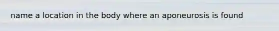 name a location in the body where an aponeurosis is found