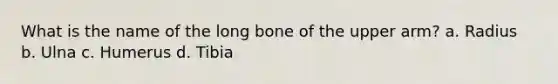 What is the name of the long bone of the upper arm? a. Radius b. Ulna c. Humerus d. Tibia