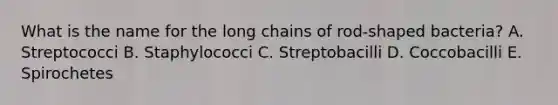 What is the name for the long chains of rod-shaped bacteria? A. Streptococci B. Staphylococci C. Streptobacilli D. Coccobacilli E. Spirochetes